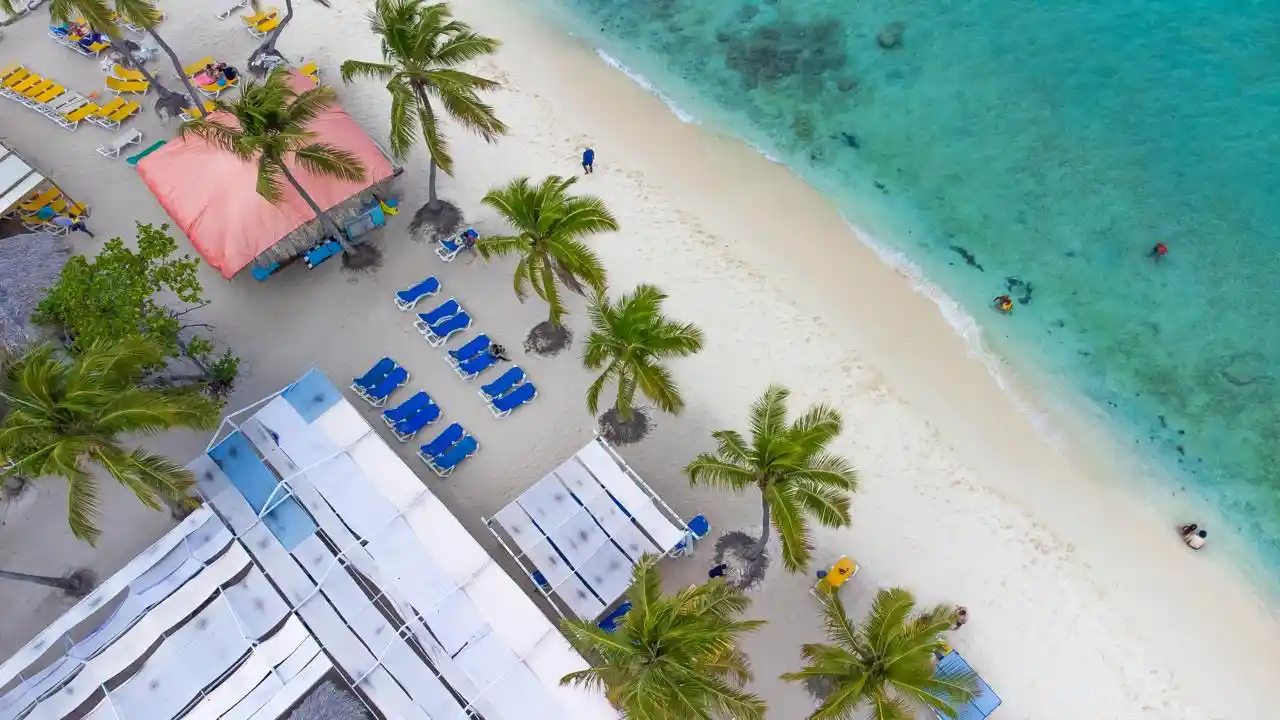 Aerial view of Catalina Island beach