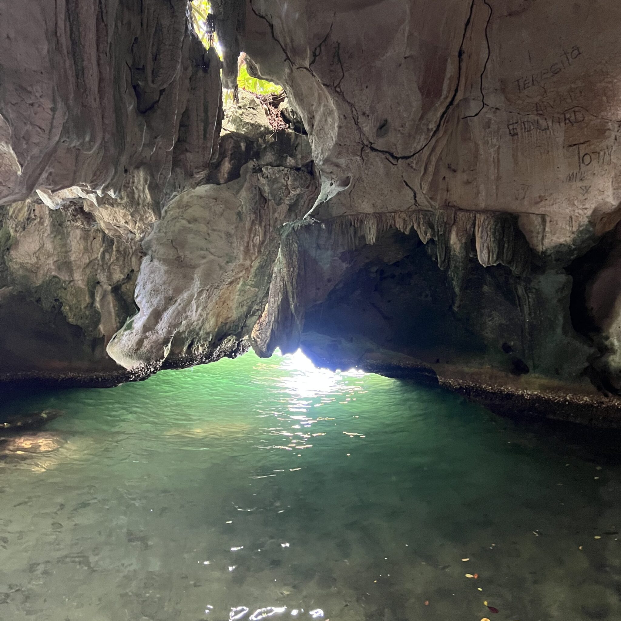Mangrove in the Haitises park