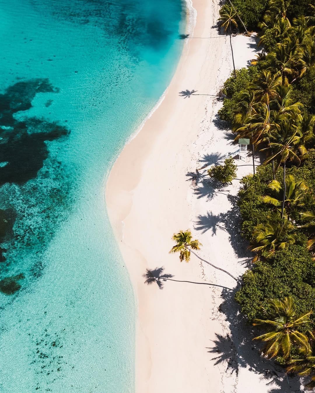 Aereal view of the beach