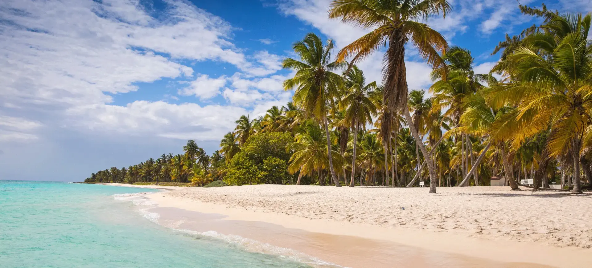 Private Saona VIP: 4 Beaches vs. Canto de la Playa Experience 1