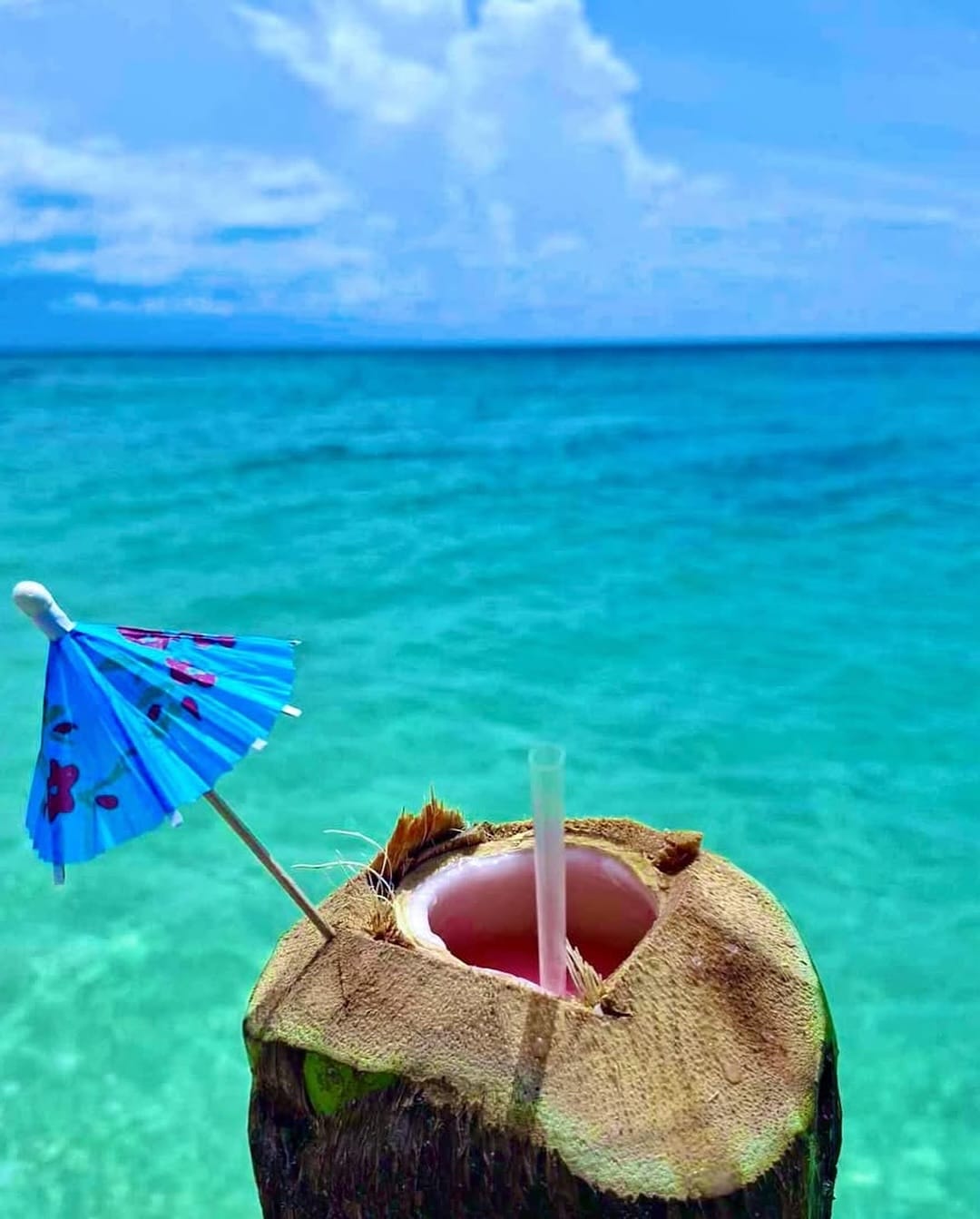 Coconut in the beach